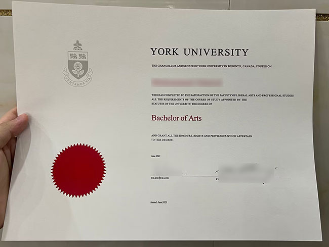 Sample of York University degree