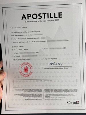 What is a Hague certification?Example of Hague Certification
