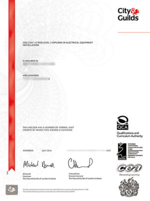 city & guilds Certificate sample