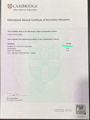 Latest Cambridge IGCSE Certificate Sample