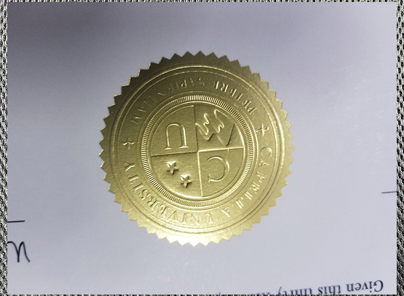 Please be sure to purchase a certificate diploma from Capella University. - Image 3