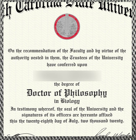 What is the degree certificate of North Carolina State University like? - Image 3