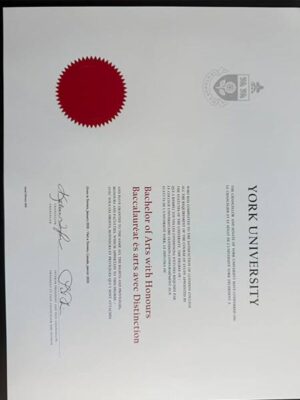 How much does it cost to obtain a degree from York University?