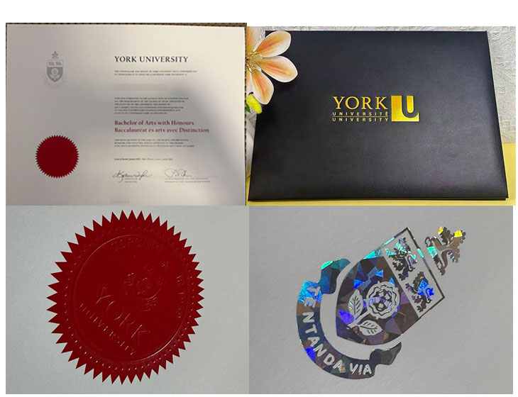 Sample of York University degree
