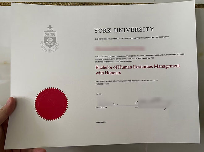 2019 edition sample of York University degrees