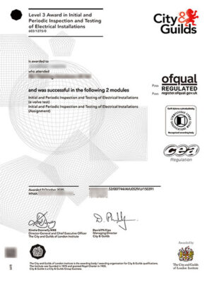 city & guilds Certificates samples