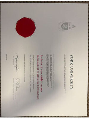 University degree certificate