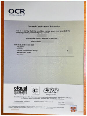 GCSE OCR Certificate Sample Case