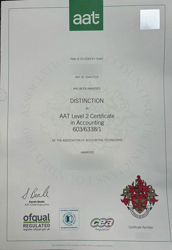 What is an AAT diploma? - Image 2
