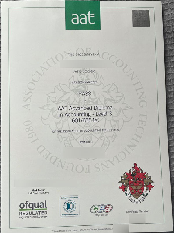 What is an AAT diploma? - Image 4