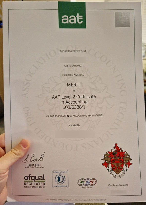 What is an AAT diploma? - Image 5