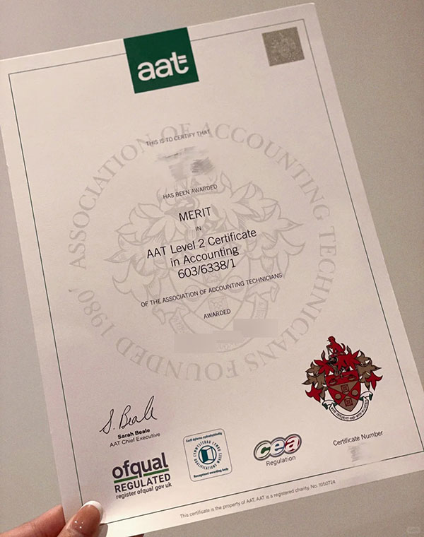 What is an AAT diploma? - Image 6
