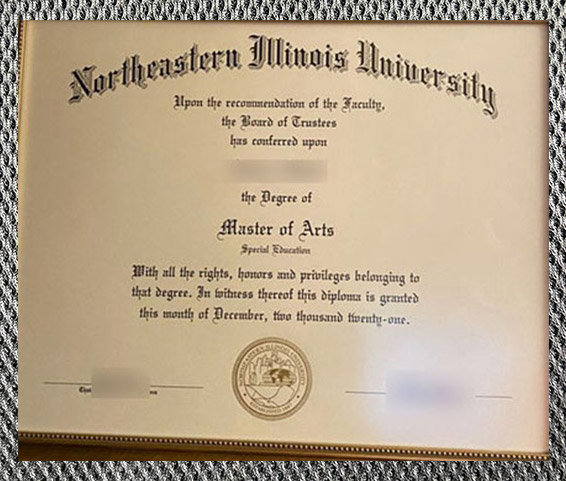 Order the diploma certificate of Northern Illinois University online - Image 2