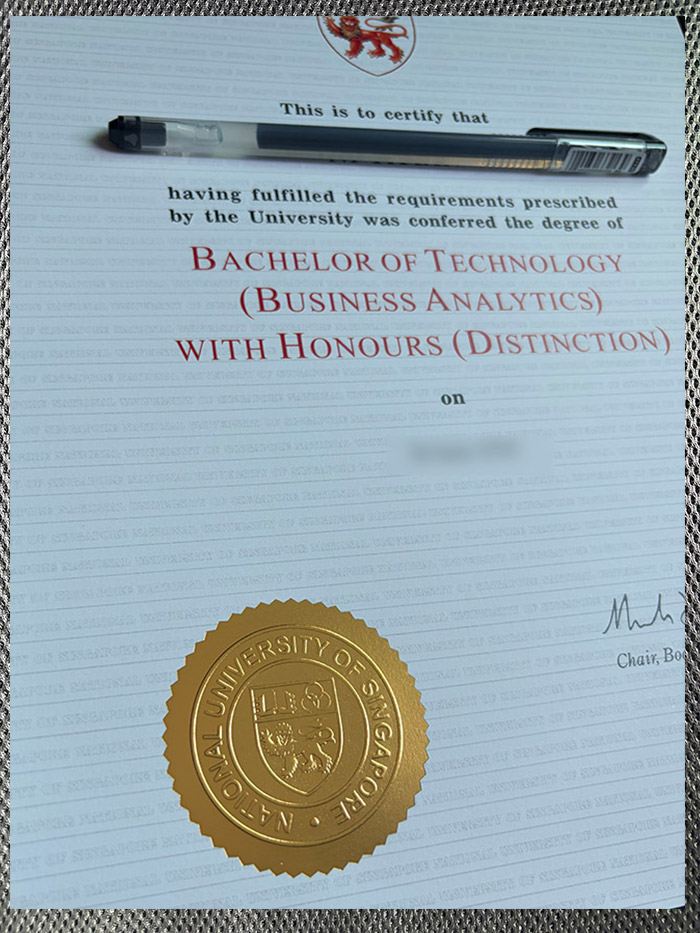 The best certificate from the National University of Singapore - Image 2