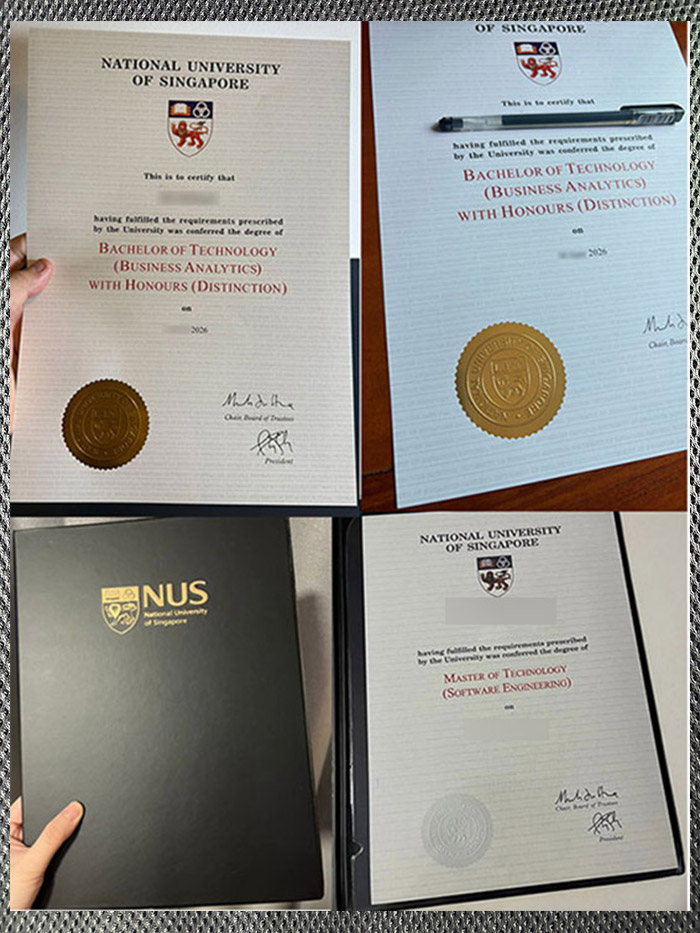 The best certificate from the National University of Singapore - Image 3