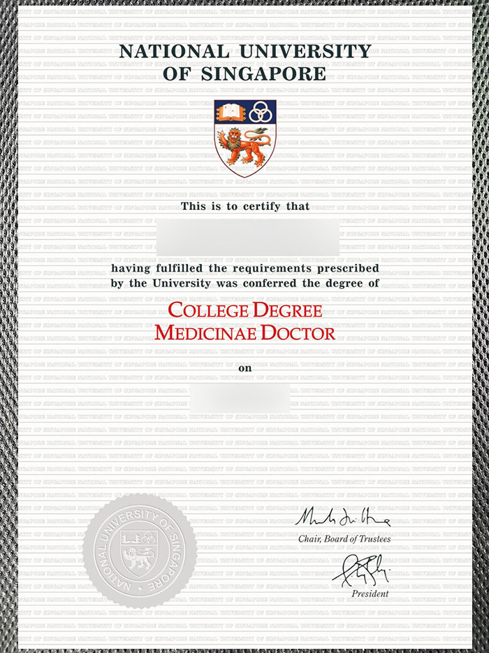 The best certificate from the National University of Singapore - Image 4