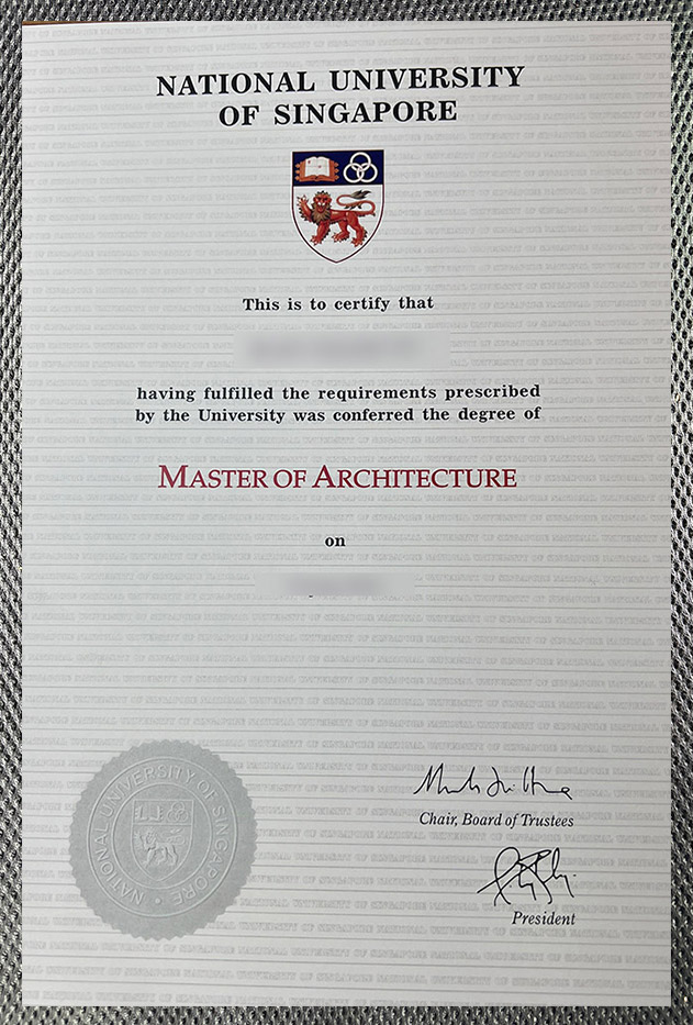 The best certificate from the National University of Singapore - Image 5