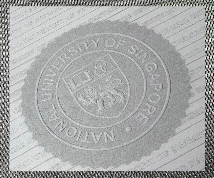 The best certificate from the National University of Singapore - Image 6