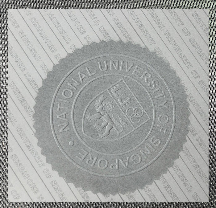 The best certificate from the National University of Singapore - Image 7