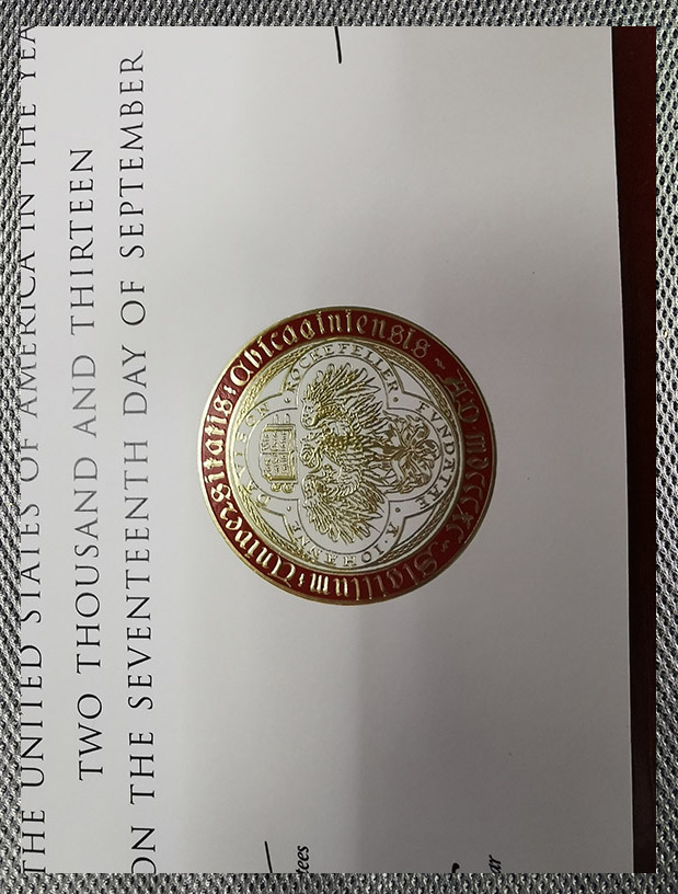 What is the degree certificate of the University of Chicago like? - Image 2