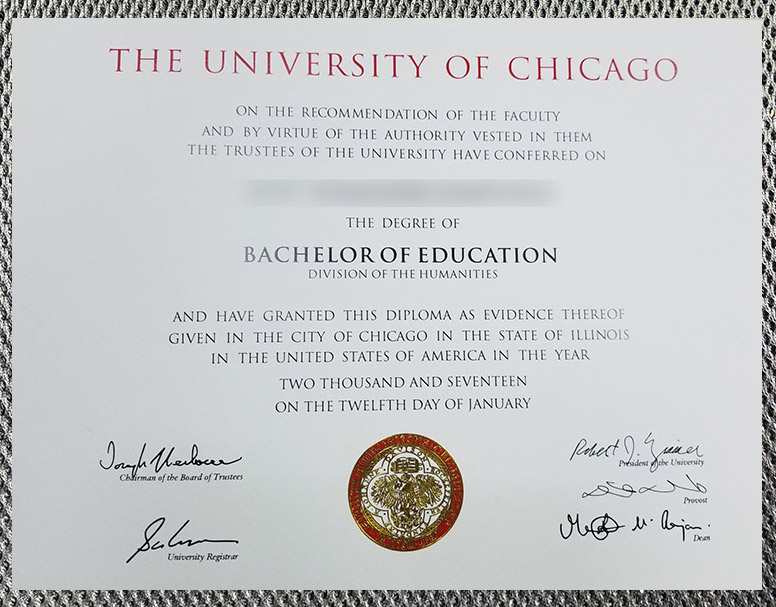 What is the degree certificate of the University of Chicago like? - Image 6