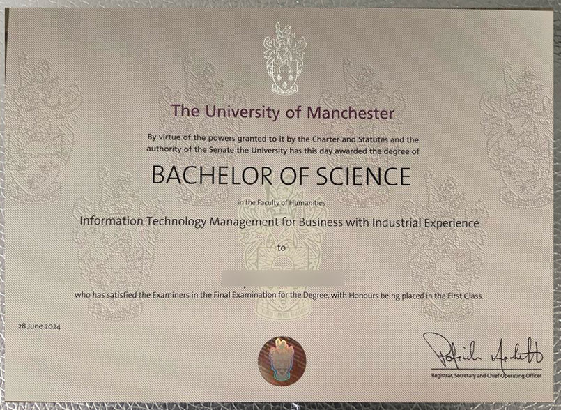 Degree sample from the University of Manchester in 2024