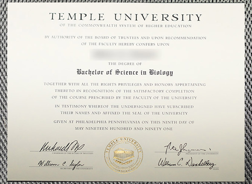 High-quality diploma - Temple University certificate - Image 4