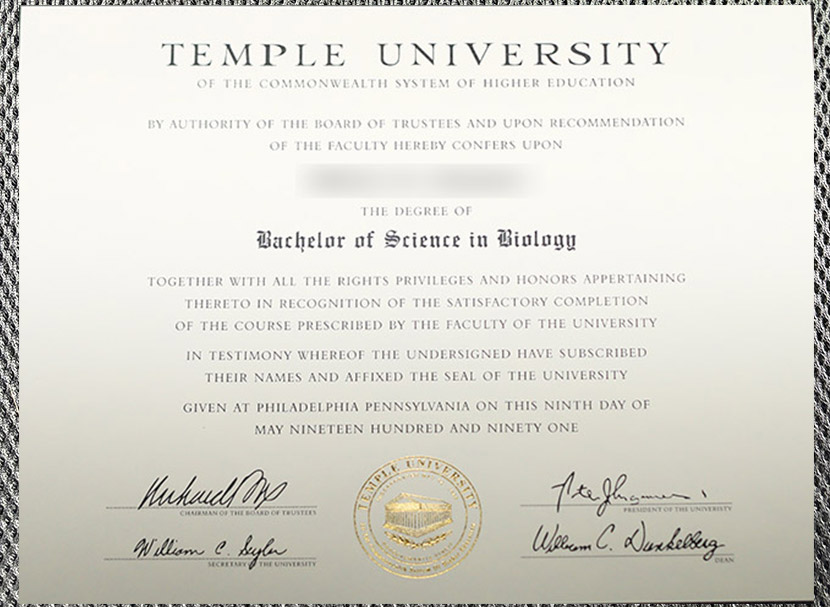 High-quality diploma - Temple University certificate - Image 5