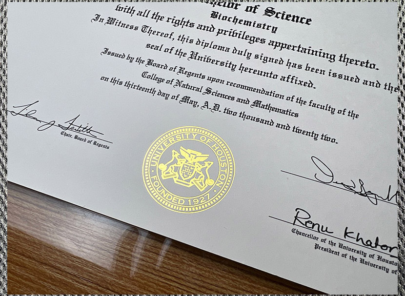 High-quality certificate from the University of Houston - Image 4