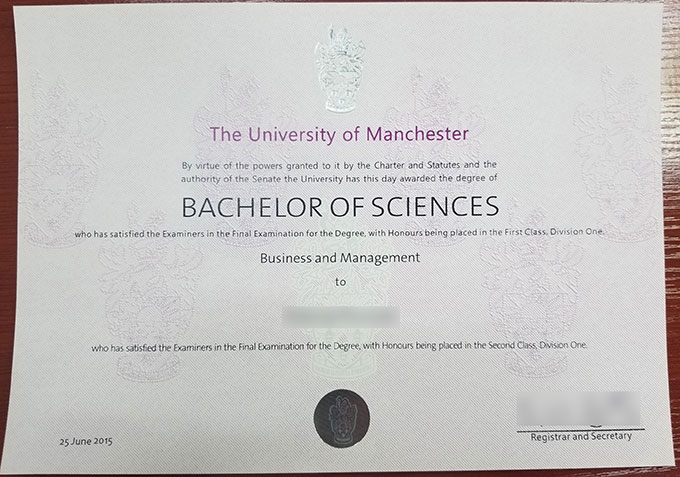 2015 University of Manchester degree Sample