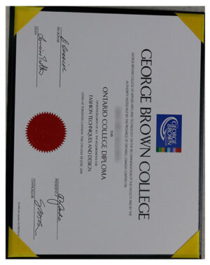 High-quality diploma from George Brown College
