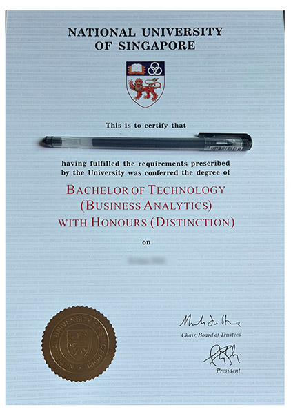 The best certificate from the National University of Singapore