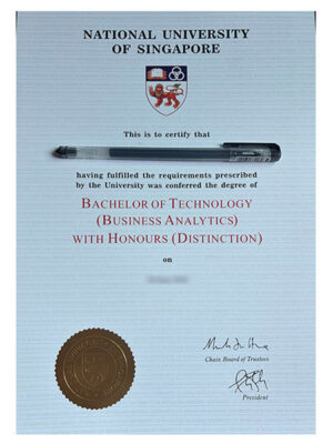 Please be sure to purchase a certificate from the National University of Singapore.