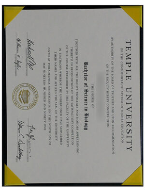 High-quality diploma - Temple University certificate