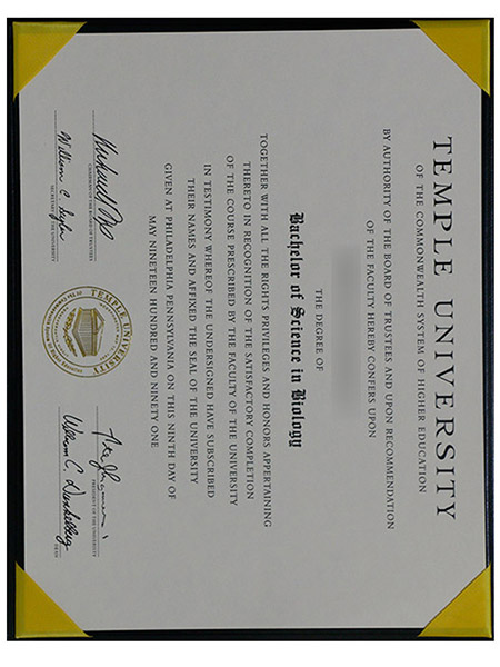 High-quality diploma - Temple University certificate