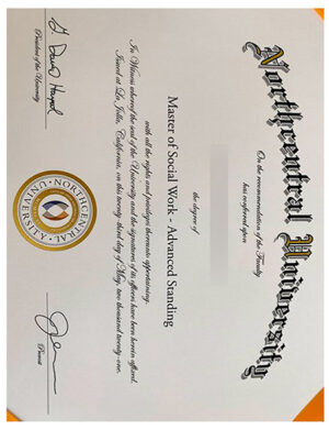 How long does it take to order a degree from Newport University through the website?
