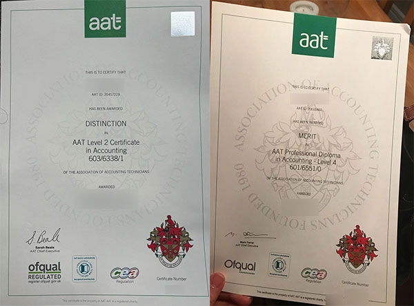 What is an AAT diploma? - Image 7